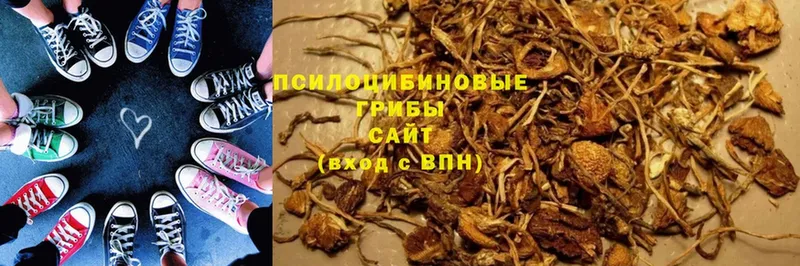 кракен как зайти  даркнет сайт  Дудинка  Галлюциногенные грибы Psilocybe 